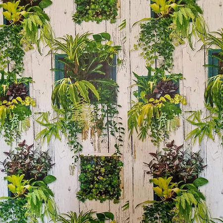 El Rinconin De - Planta Baja Con Terraza *